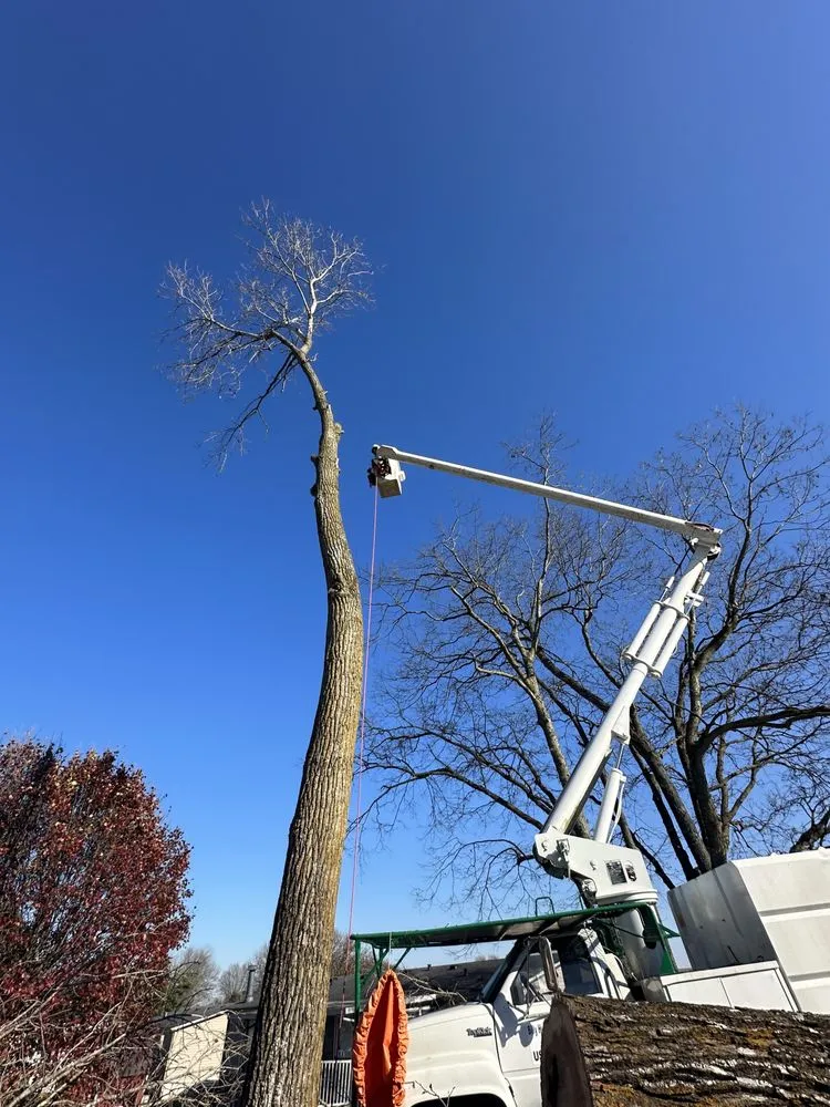 Local landscape design near you across Winchester, KY - Billy Hummer's Tree Service and Landscaping