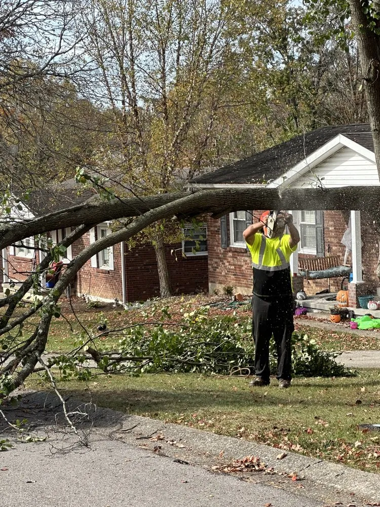 Custom yard maintenance in Winchester, KY by Billy Hummer's Tree Service and Landscaping