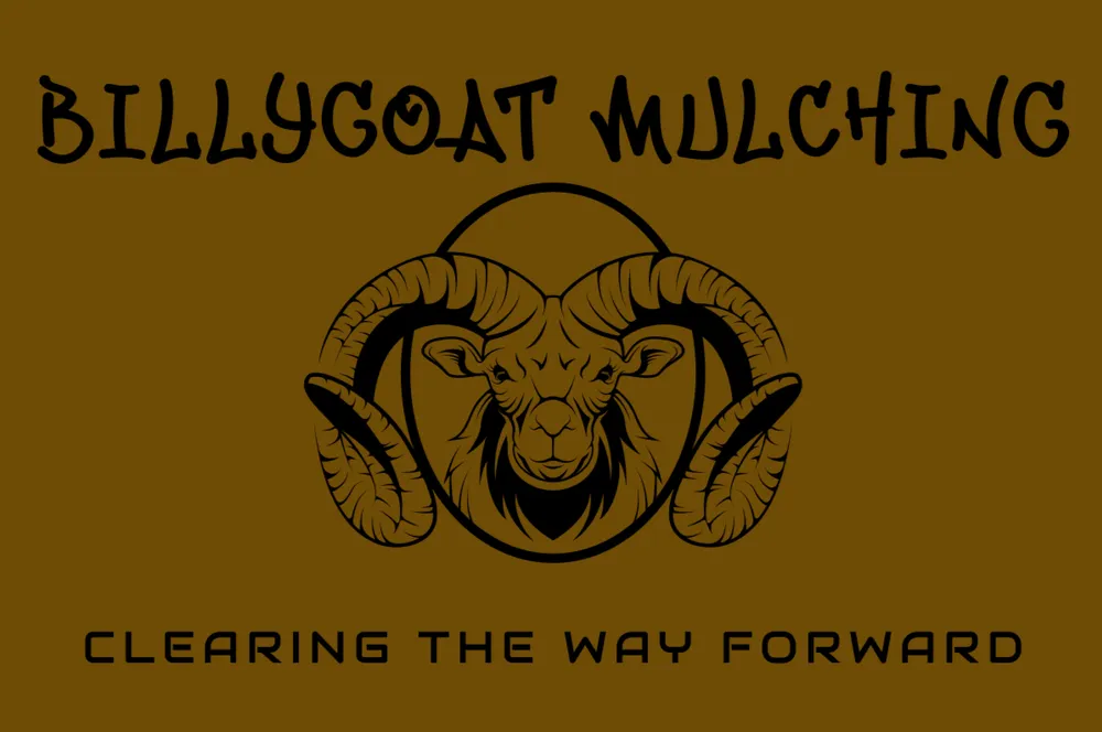 Top-rated lawn mowing service experts serving Casar, NC - BillyGoat Mulching