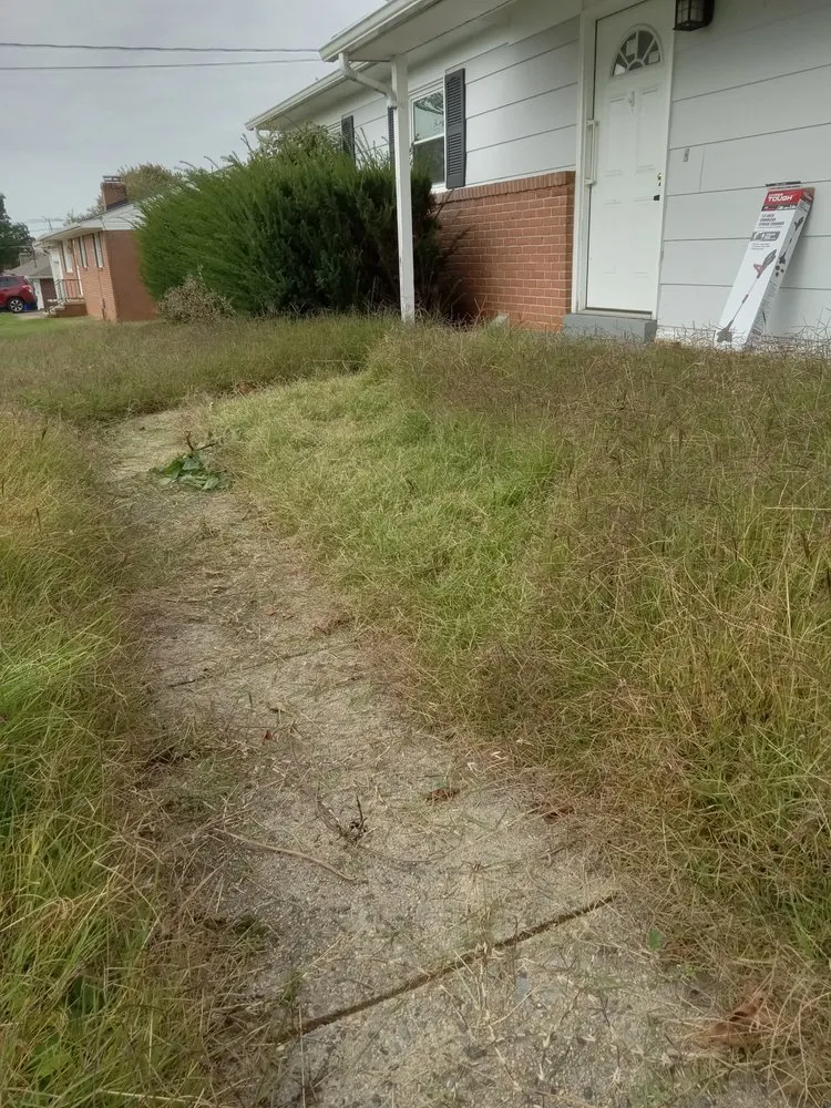 Trusted yard cleanup service in Winchester, VA - Billy's Fall Clean Up