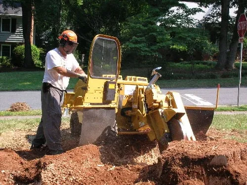 Billy's Stump Removal Logo
