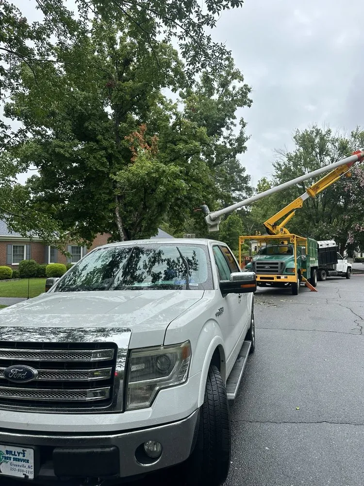 Top-rated landscaping services in Greenville, NC by Billy's Tree Services