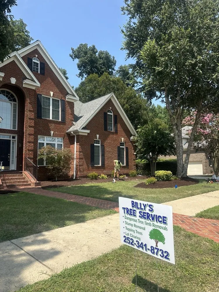 Reliable outdoor landscaping experts serving Greenville, NC - Billy's Tree Services