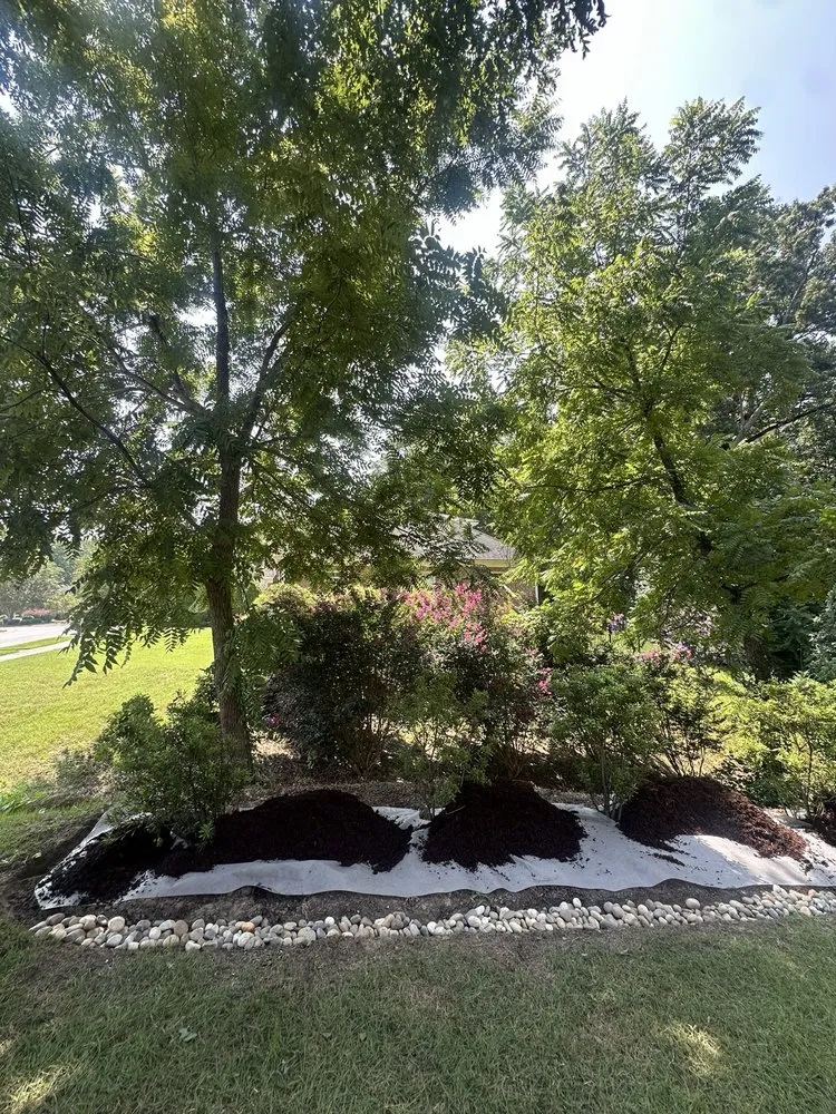 Trusted yard maintenance with custom design across Greenville, NC - Billy's Tree Services