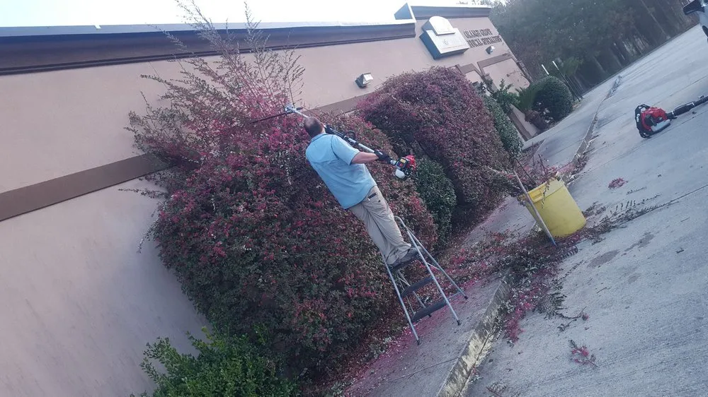 Reliable yard cleanup service in Biloxi, MS by Biloxi Lawn Care