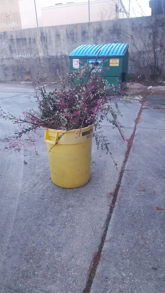 Trusted landscape design experts serving Biloxi, MS - Biloxi Lawn Care