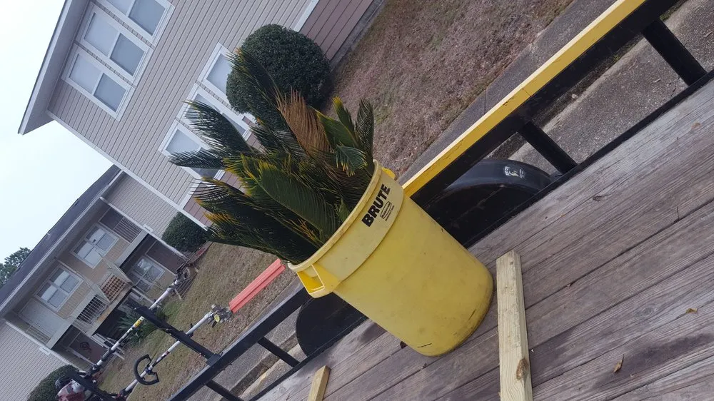 Affordable yard cleanup service for year-round maintenance across Biloxi, MS - Biloxi Lawn Care