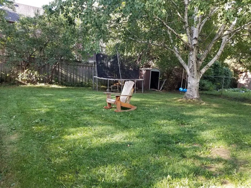 Top-rated residential landscaping near you in Phoenix, AZ by Biltmore Lawn Care