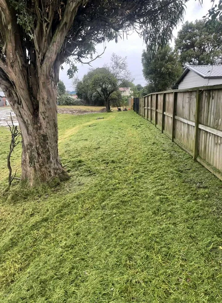 Affordable landscape installation for residential properties in Phoenix, AZ by Biltmore Lawn Care