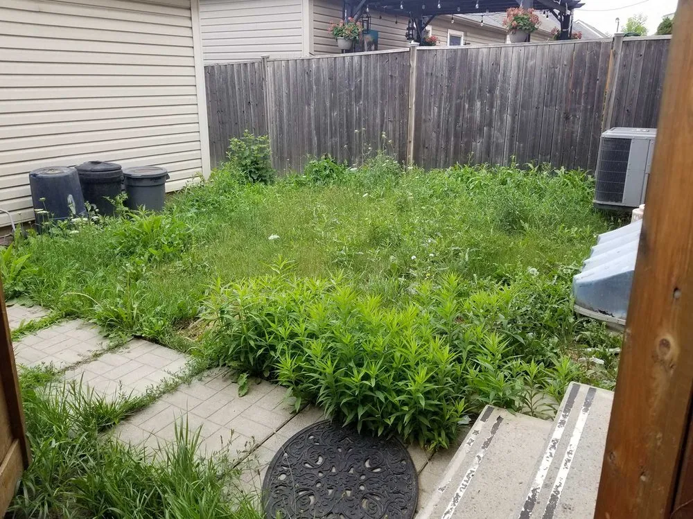 Reliable landscaping services in Phoenix, AZ - Biltmore Lawn Care