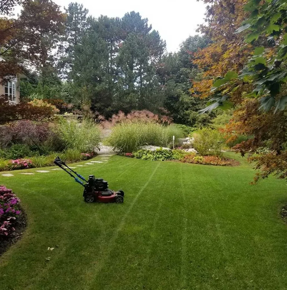 Custom yard maintenance in Phoenix, AZ by Biltmore Lawn Care