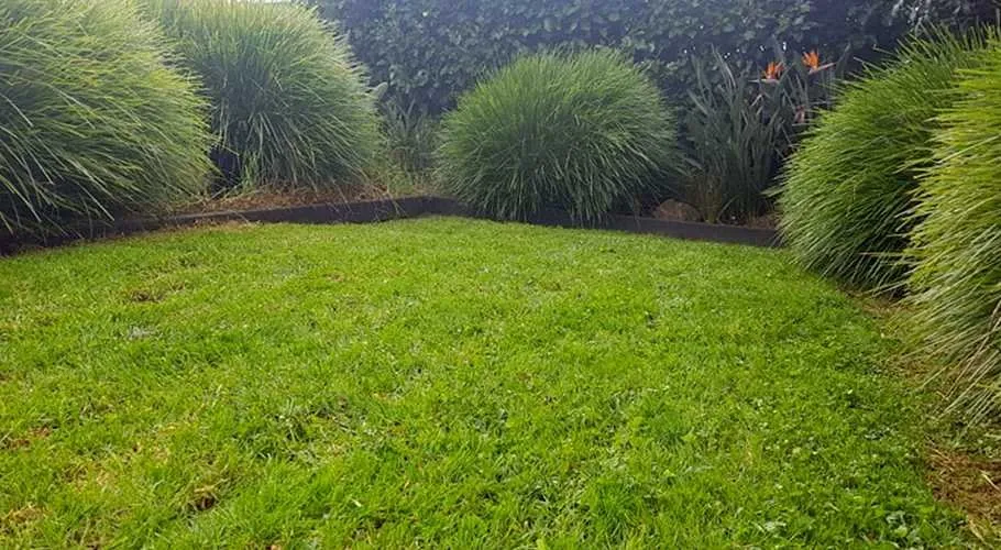 Reliable outdoor landscaping in Phoenix, AZ - Biltmore Lawn Care