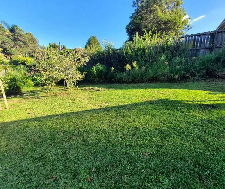 Trusted landscape installation for beautiful yards across Phoenix, AZ - Biltmore Lawn Care