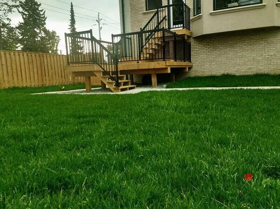 Professional landscaping services for beautiful yards across Phoenix, AZ - Biltmore Lawn Care