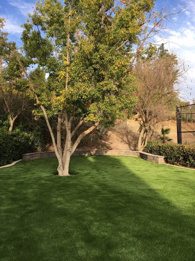 Expert yard cleanup service in Boise City, ID - Biltright Turf