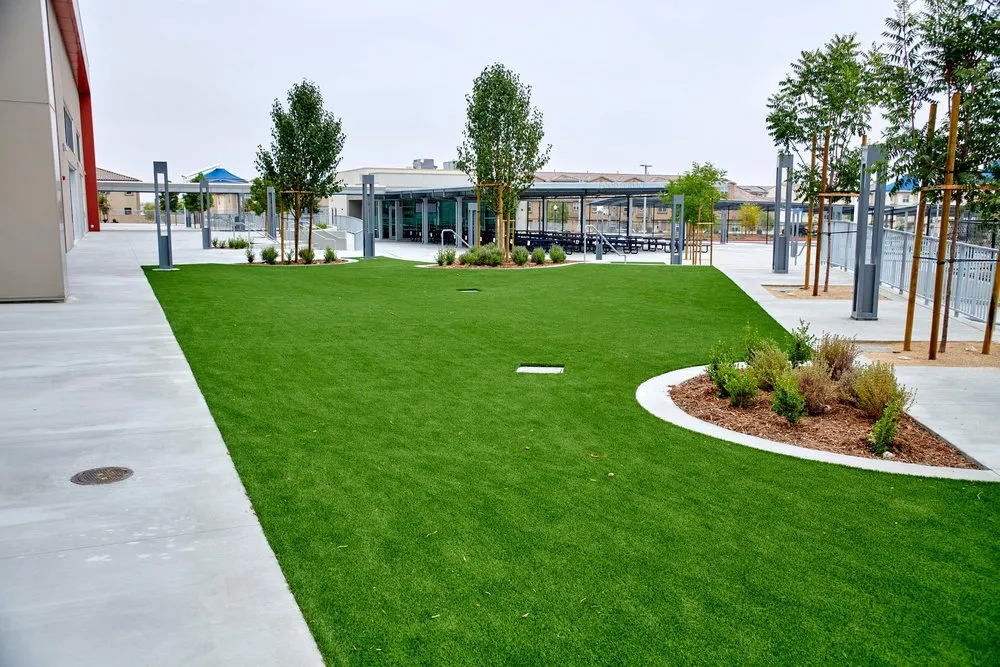 Reliable yard cleanup service in Dallas, TX - Biltright Turf