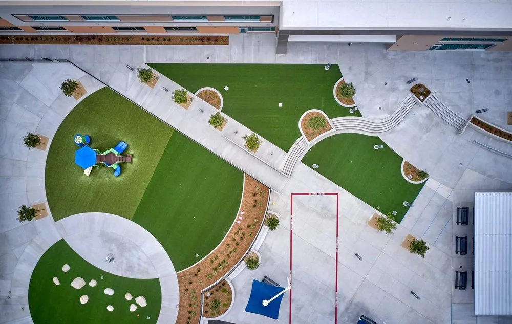 Expert yard cleanup service in Dallas, TX - Biltright Turf