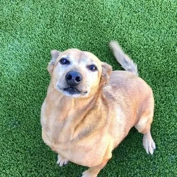 Expert landscaping services experts serving Knoxville, TN - Biltright Turf