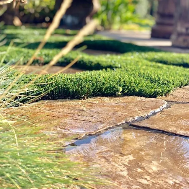 Custom yard cleanup service for beautiful yards in Miami, FL by Biltright Turf