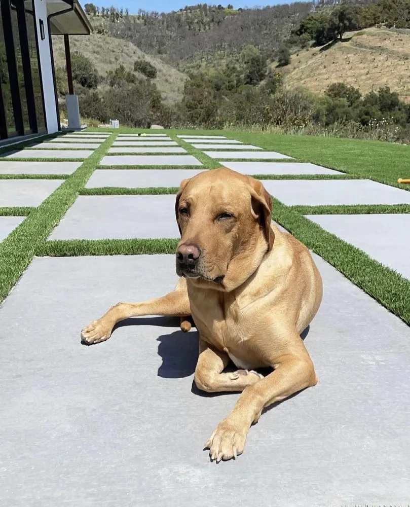 Local residential landscaping in Miami, FL by Biltright Turf