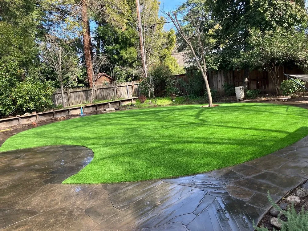 Reliable yard cleanup service in New Orleans, LA by Biltright Turf