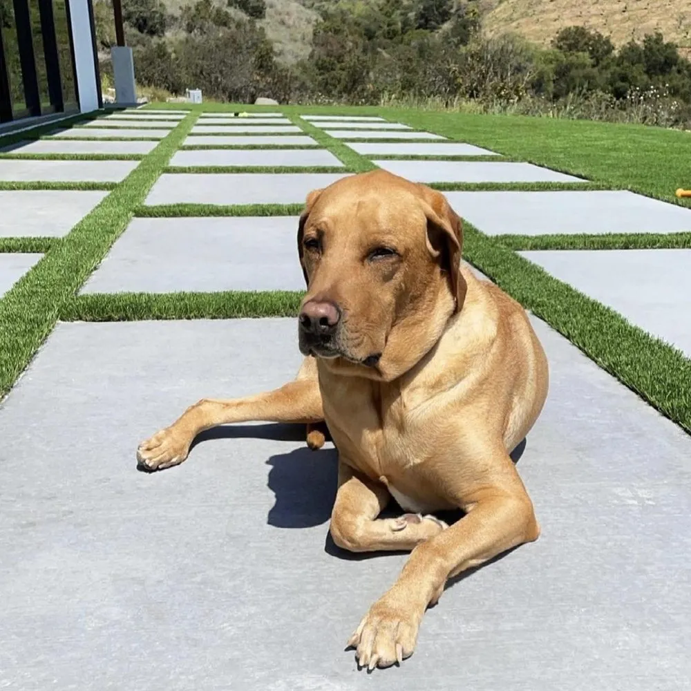 Affordable garden landscaping in New Orleans, LA - Biltright Turf