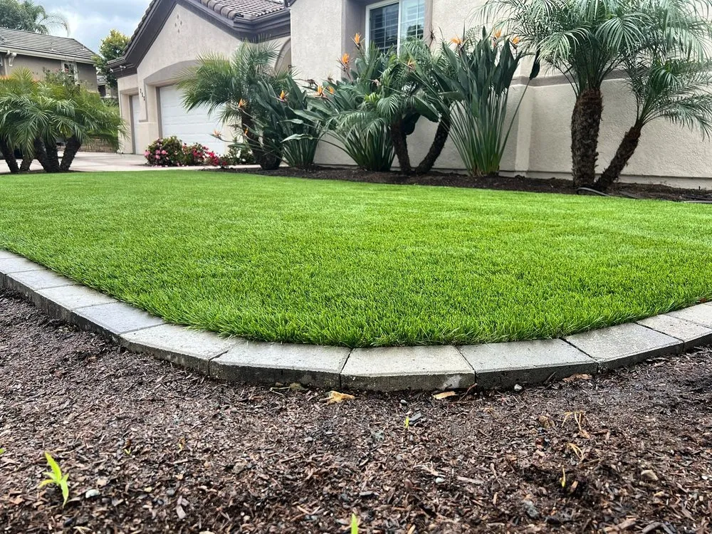 Local lawn care service in Raleigh, NC - Biltright Turf