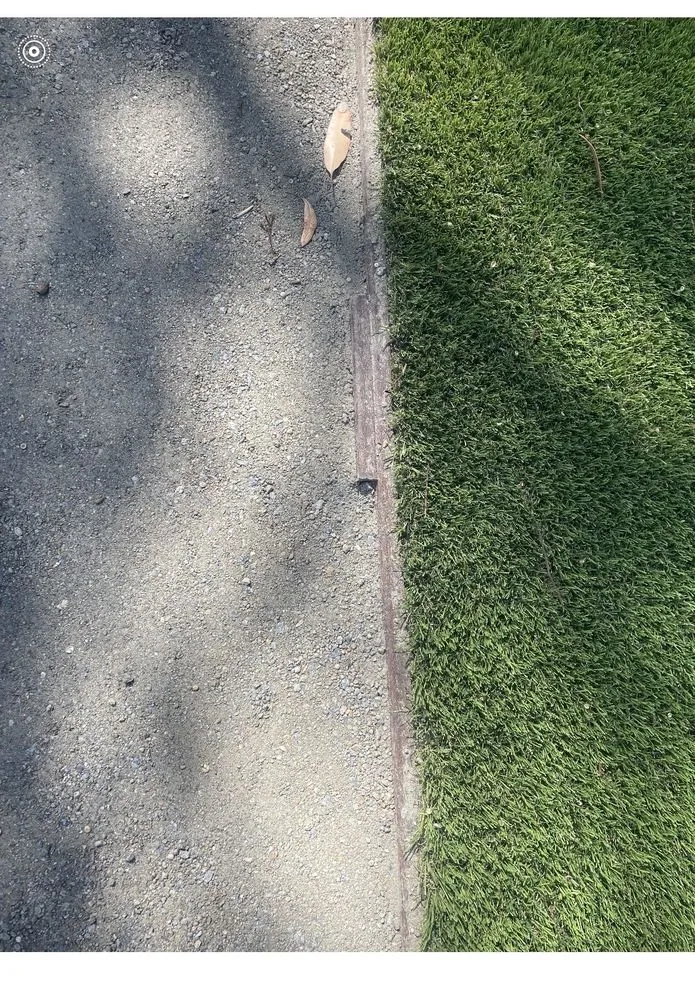 Expert landscape design in San Diego, CA - Biltright Turf