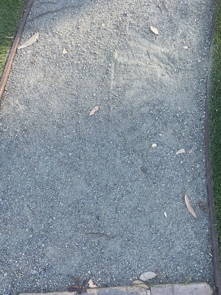 Custom landscape design in San Diego, CA - Biltright Turf