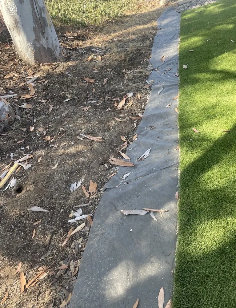 Expert yard cleanup service in San Diego, CA by Biltright Turf
