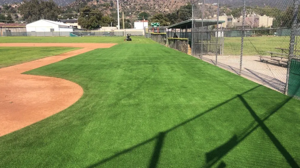Local landscape design in Temecula, CA by Biltright Turf