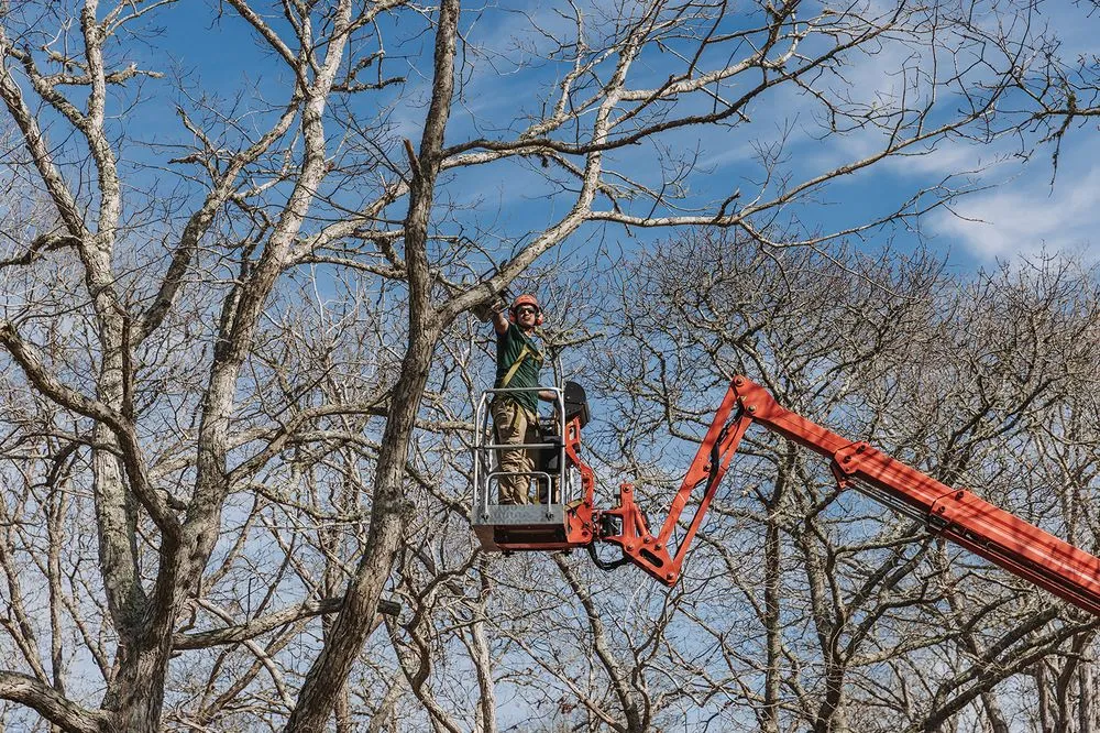 Reliable landscape design experts serving Vineyard Haven, MA - Bilzerian Tree & Land Services