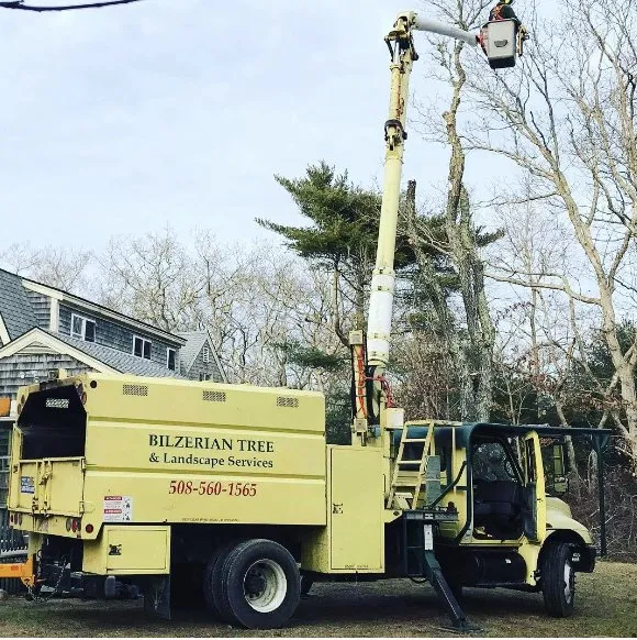 Professional landscape design for outdoor upgrades across Vineyard Haven, MA - Bilzerian Tree & Land Services