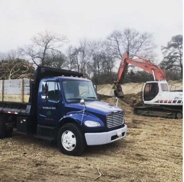 Expert yard cleanup service in Vineyard Haven, MA - Bilzerian Tree & Land Services