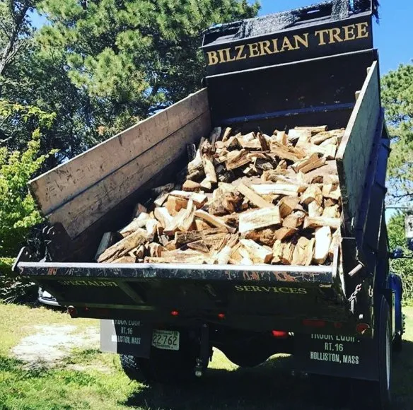 Reliable landscape installation in Vineyard Haven, MA by Bilzerian Tree & Land Services