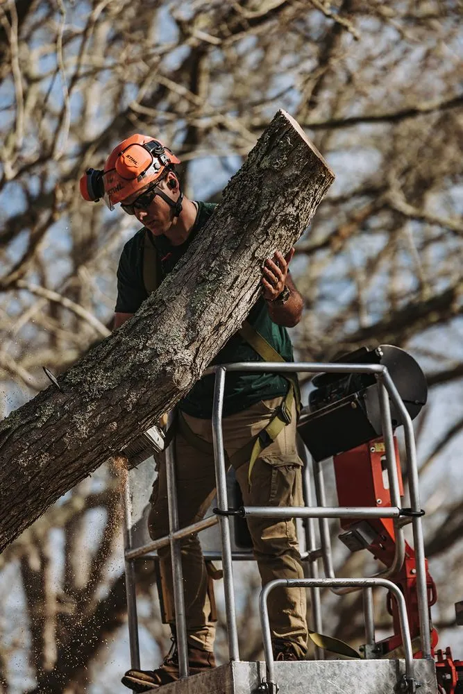 Expert yard maintenance experts serving Vineyard Haven, MA - Bilzerian Tree & Land Services