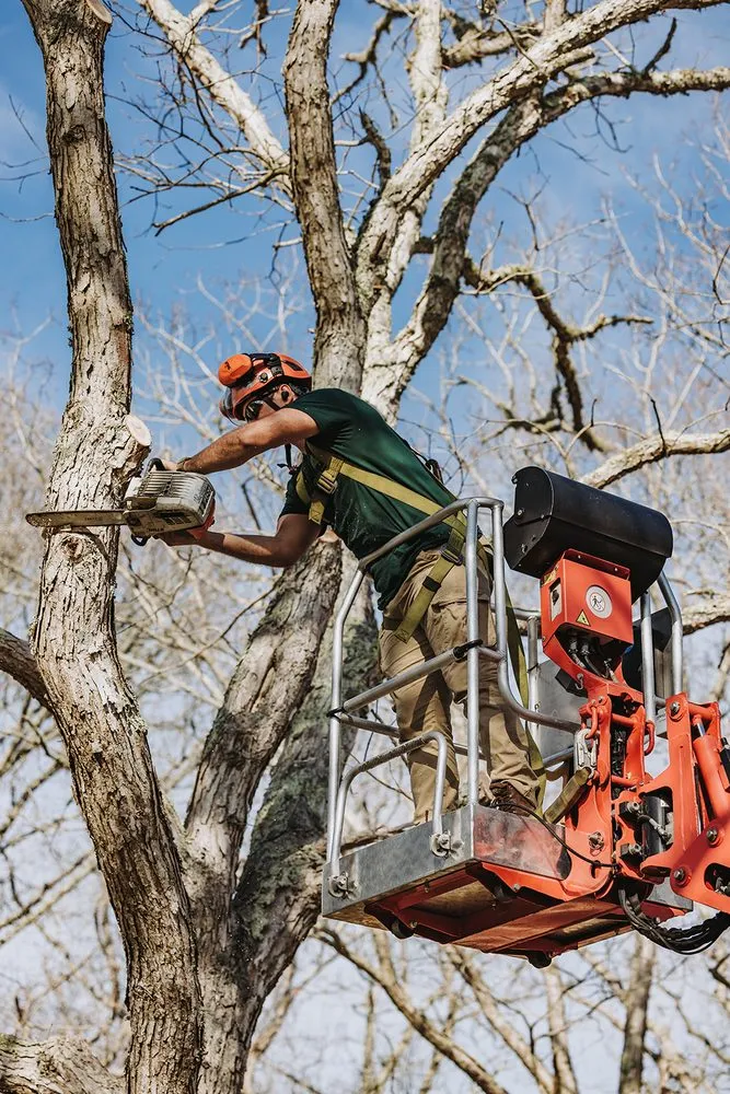 Top-rated landscaping services experts serving Vineyard Haven, MA - Bilzerian Tree & Land Services