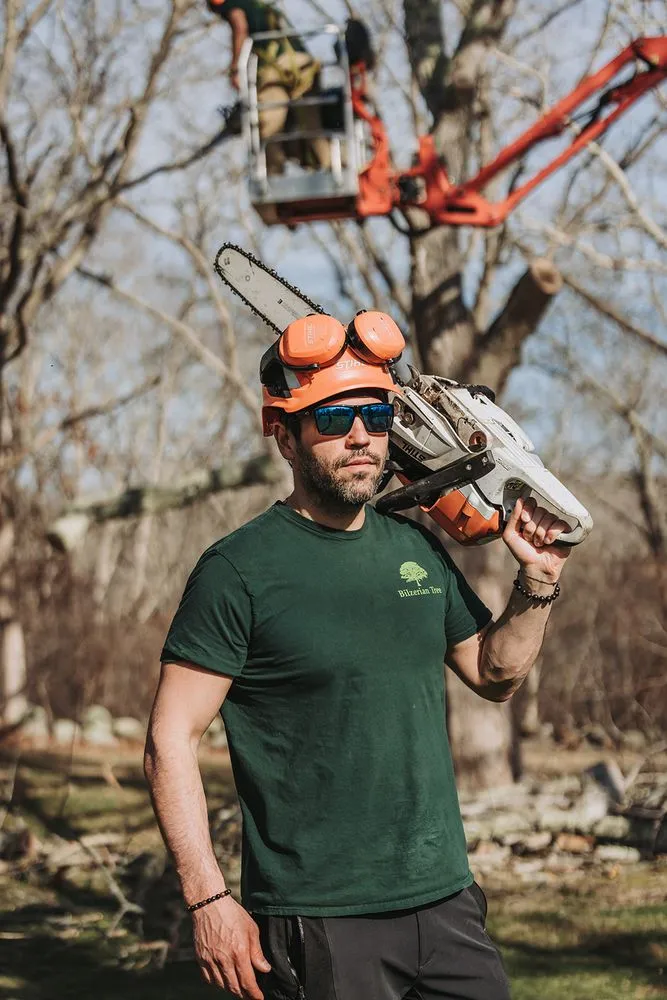 Custom lawn mowing service for outdoor upgrades across Vineyard Haven, MA - Bilzerian Tree & Land Services