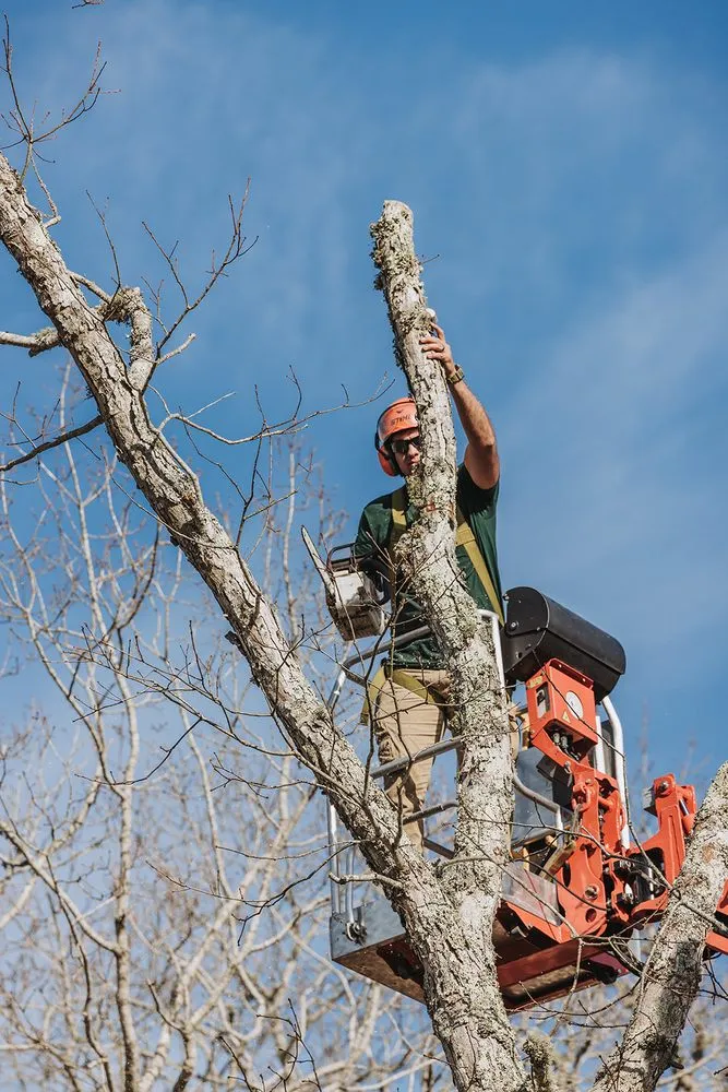 Affordable residential landscaping near you across Vineyard Haven, MA - Bilzerian Tree & Land Services