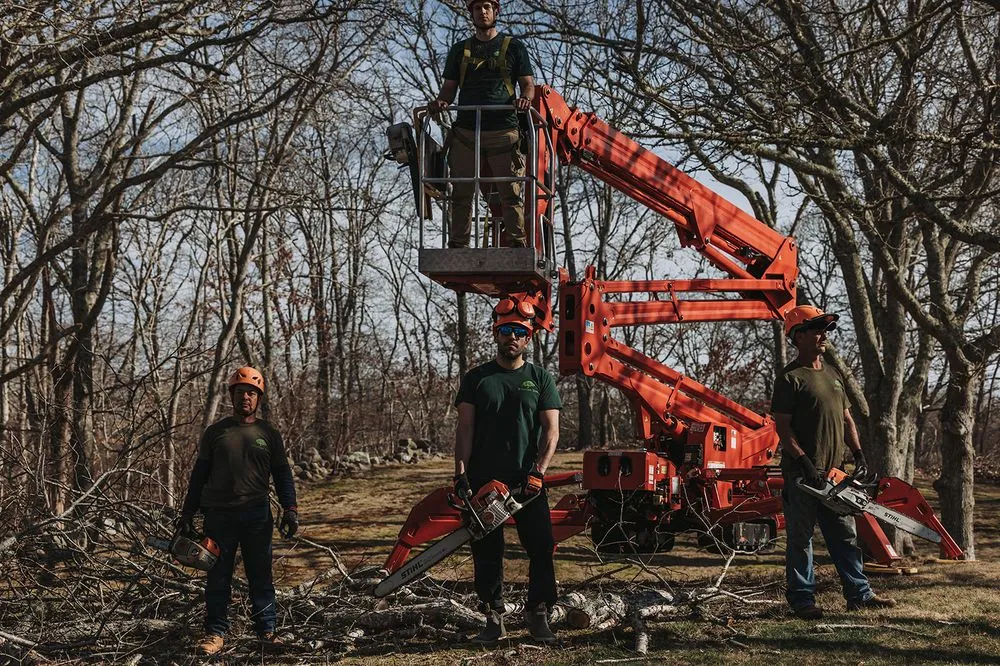 Top-rated garden landscaping for year-round maintenance across Vineyard Haven, MA - Bilzerian Tree & Land Services