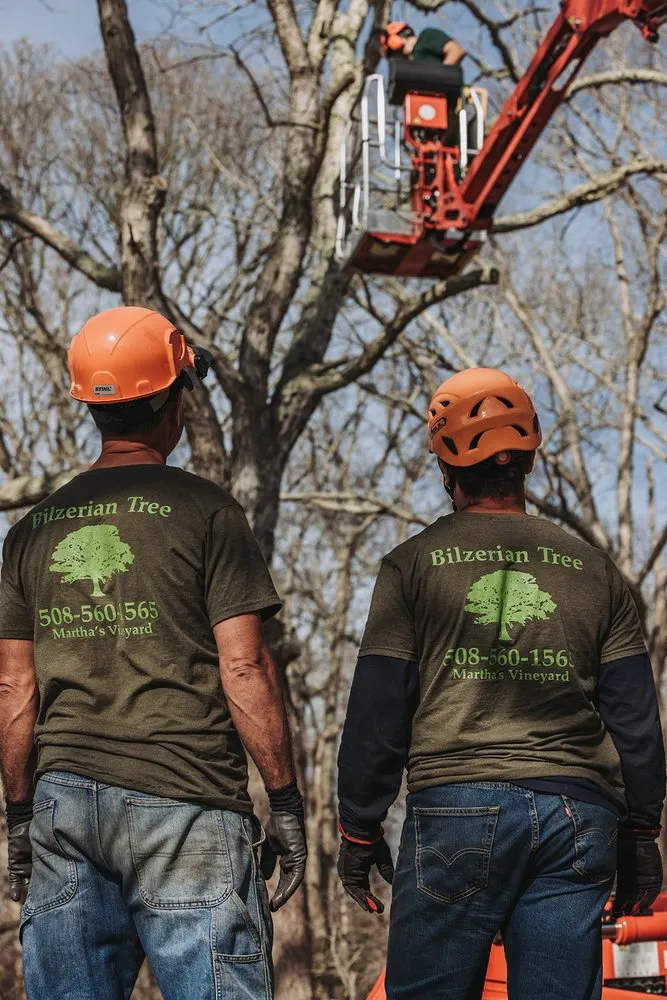 Professional outdoor landscaping in Vineyard Haven, MA by Bilzerian Tree & Land Services