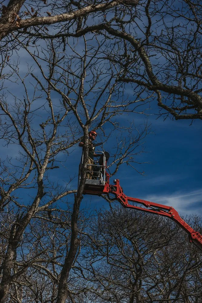 Expert garden landscaping in Vineyard Haven, MA - Bilzerian Tree & Land Services
