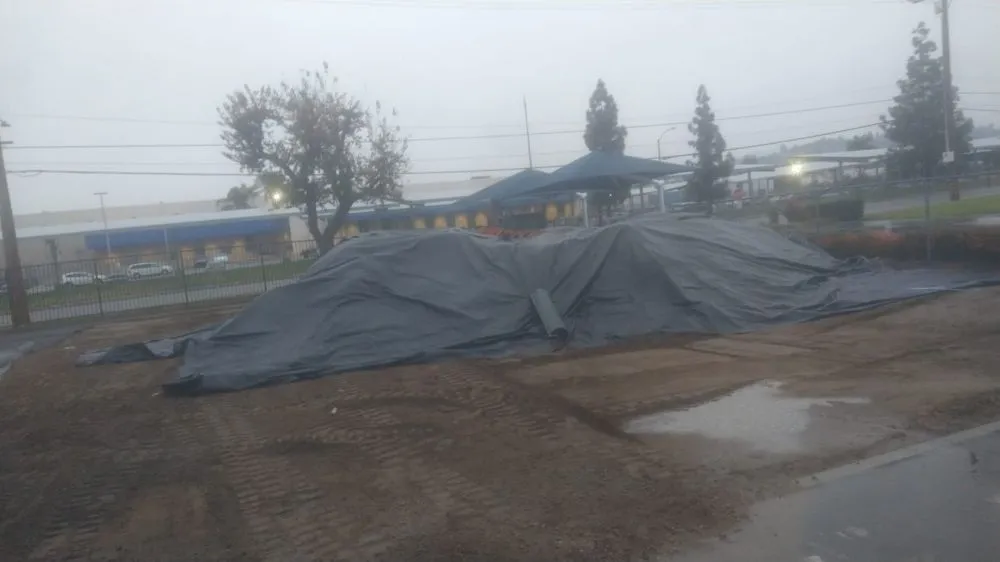 Custom outdoor landscaping in South San Francisco, CA - BIM