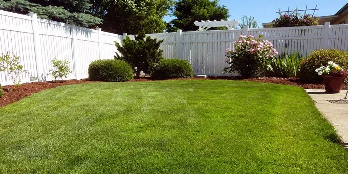 Professional landscape installation experts serving Cedar Creek, TX - BIMO landscaping