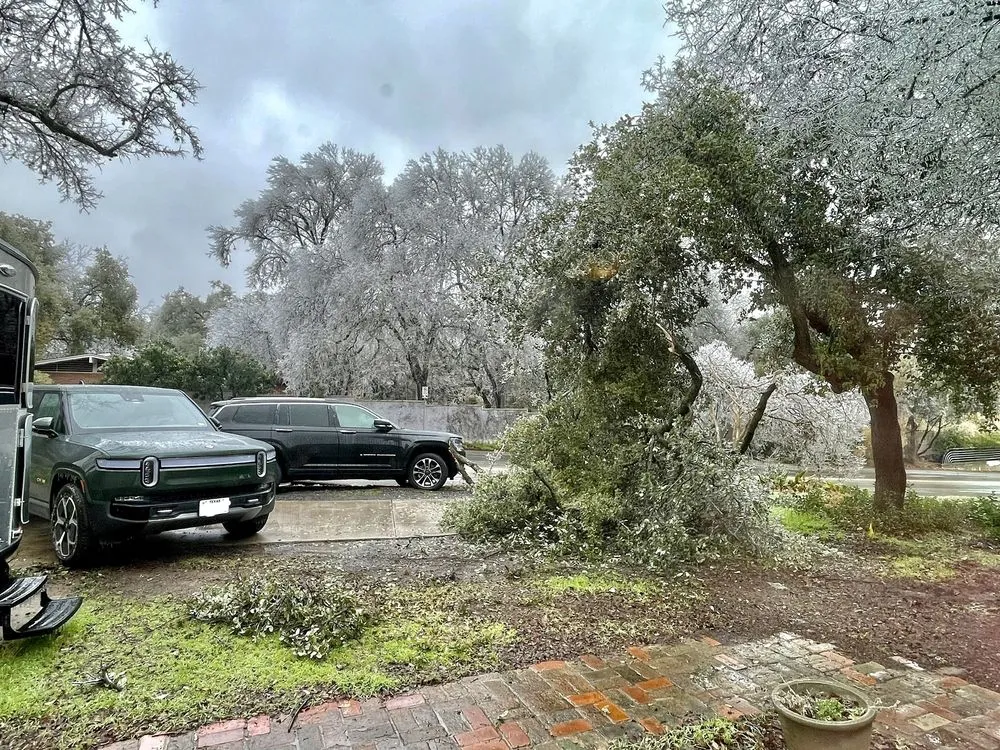 Expert lawn mowing service for year-round maintenance in Cedar Creek, TX by BIMO landscaping