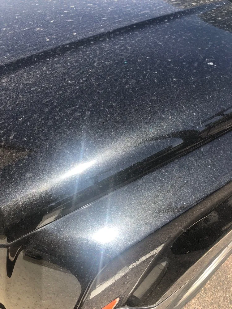 Top-rated yard maintenance for beautiful yards in Scottsdale, AZ by Bim's Lawn & Landscaping Service