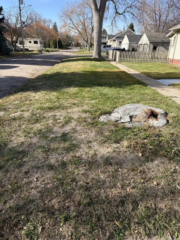 Top-rated landscaping services with custom design in Harvard, NE by Binder Scott Lawns