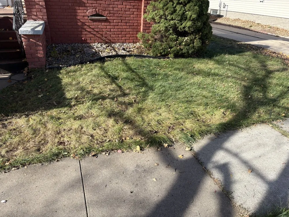 Top-rated landscape design in Harvard, NE by Binder Scott Lawns