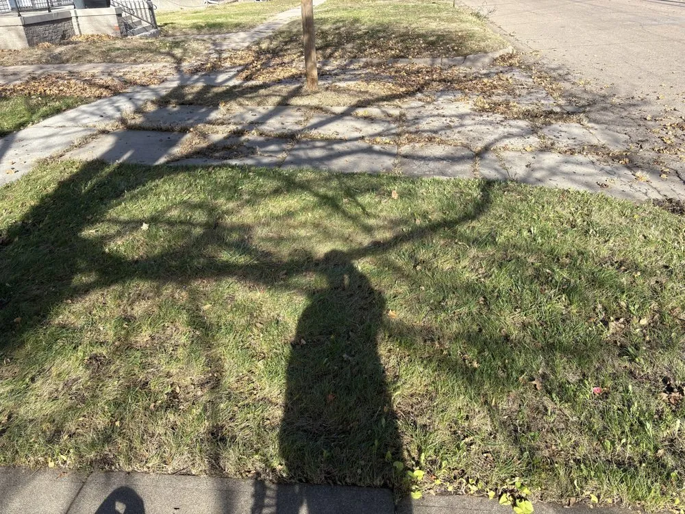 Reliable garden landscaping in Harvard, NE by Binder Scott Lawns
