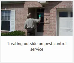 Custom outdoor landscaping in Bryan, TX by Binford Insect Control Services